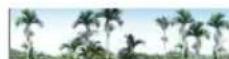 Areca ARC-1213-4X - Clear Events Buffer - 1