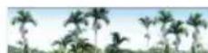 Areca ARC-1213-4X - Generate Test Event - 1