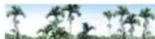 Areca ARC-1213-4X - View Events/Mute Beeper - 1