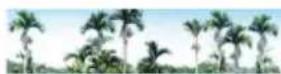 Areca ARC-1213-4X - - Rescan Decive Configuration: - 1