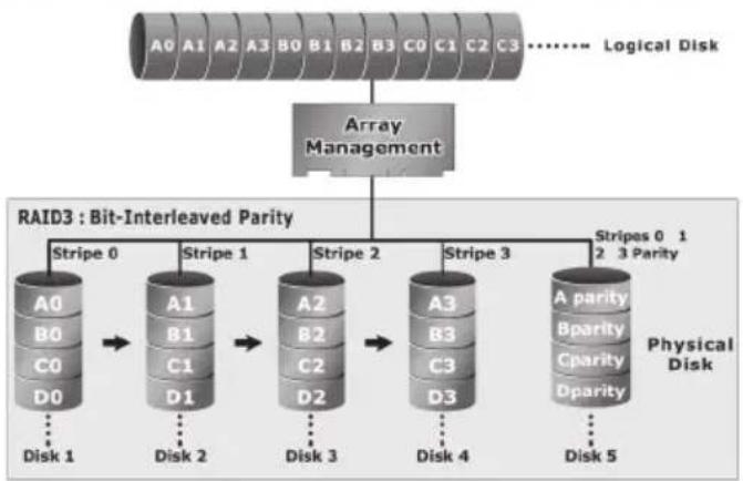 graph TD A["Array Management"] --> B["RAID3 : Bit-Interleaved Parity"] B --> C1["Stripe 0"] B --> C2["Stripe 1"] B --> C3["Stripe 2"] B --> C4["Stripe 3"] B --> C5["Stripes 0 1 2 3 Parity"] C1 --> D1["Disk 1"] C2 --> D2["Disk 2"] C3 --> D3["Disk 3"] C4 --> D4["Disk 4"] C5 --> D5["Disk 5"] style A fi…