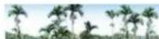 Areca ARC-1213-4X - Hardware Monitor - 1