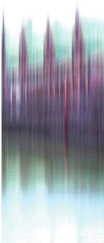 Kildemoes City 907 - Sådan rengøres E-Going el-cyklen - 2