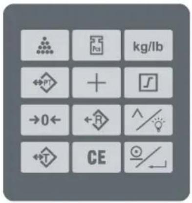 kg/lb Pt + ∫ →0← R ^/ ←T CE