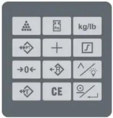 kg/lb Pt + ∫ →0← R ^/ ←T CE