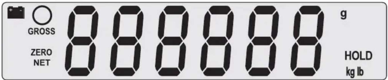 GROSS ZERO NET 888888 g HOLD kg lb