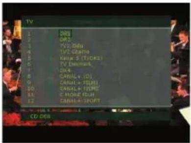 TV 1 DRS 2 OMS 3 TV2 Audio 4 TV2 Format 5 Voice S (FICK) 6 TV Channel 7 OKA 8 CASHL+ (D) 9 CASHL+ TYPE1 10 CASHL+ TYPE2 11 C-HORE (H) 12 CASHL+ SPORT CD DES