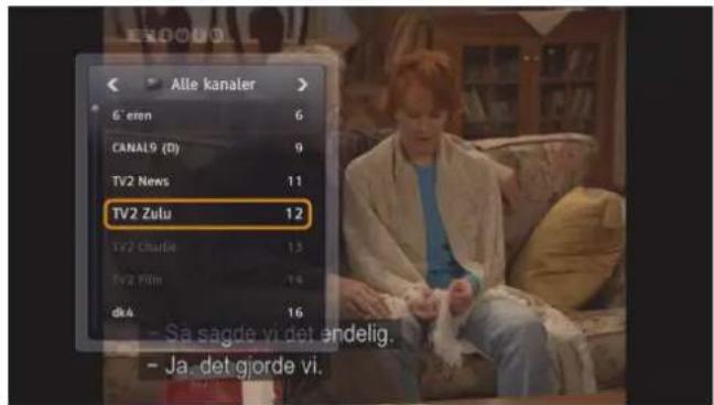 Alle kanaler 6' eren 6 CANAL9 (D) 9 TV2 News 11 TV2 Zulu 12 TV2 Charlie 13 TV2 Film 14 dka 16 - Så sagde vi det endelig. - Ja det gjorde vi.