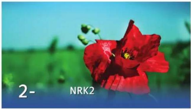 2- NRK2