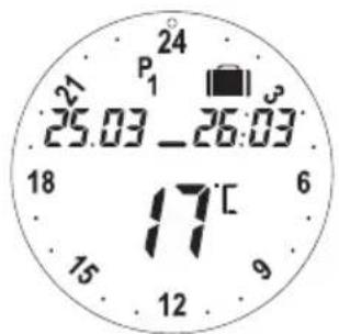 24 P1 25.03 - 26:03 18 17°C 15 12 9