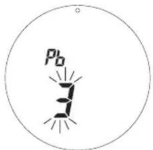 Pb 3
