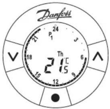 Danfoss P1 24 21 Th 21°C 15 15 9 6 V A
