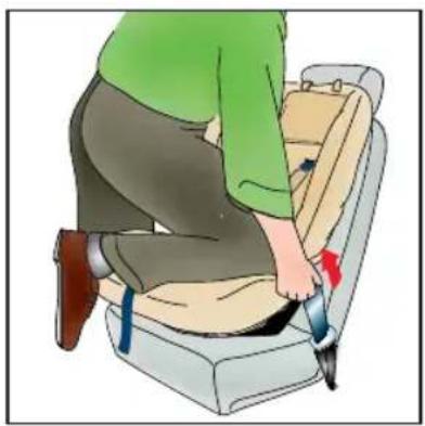 Britax-Römer Two-Way Elite - Montering med bilens 3-punkts sikkerhedssele (9 – 25 kg) - 5