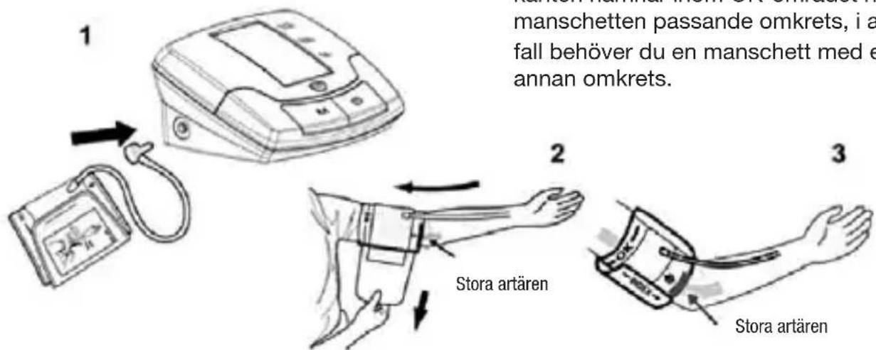 manschetten passande omkrets, i a fall behöver du en manschett med e annan omkrets. Stora artären Stora artären