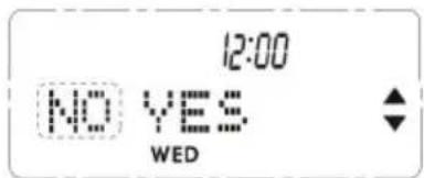 12:00 NO YES WED