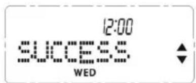 12:00 SUCCESS. WED