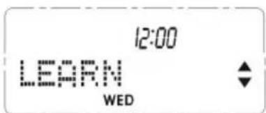 12:00 LEARN WED
