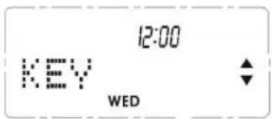 12:00 KEY WED