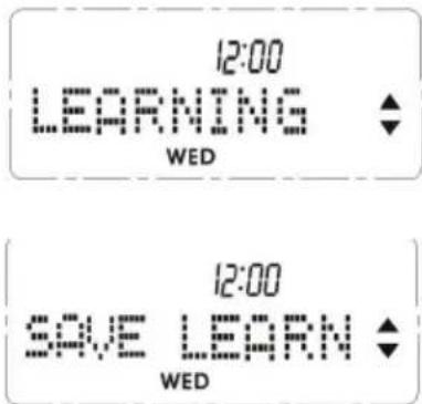 12:00 LEARNING WED 12:00 SAVE LEARN WED