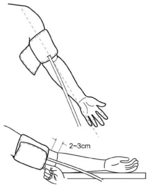 2~3cm