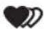 Fitzone Lifezone FW1303 - Vigtigt - 14