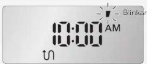 10:00 AM tn Blinkar
