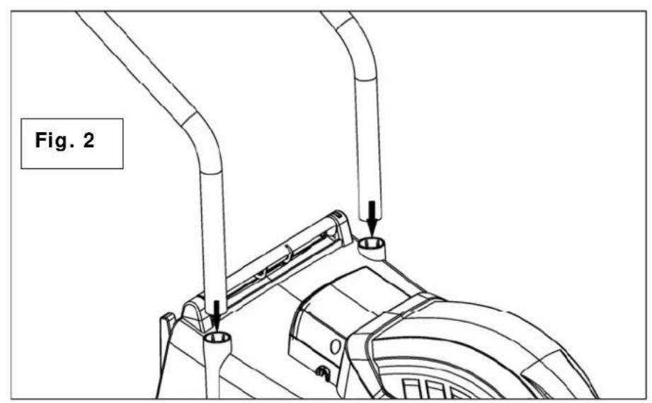 Fig. 2