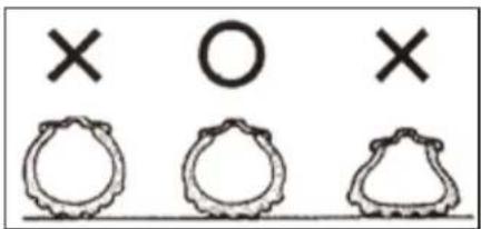× O ×