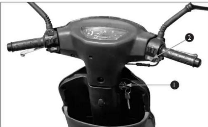 Giantco G-Buddy - iBEMÄRK - 1