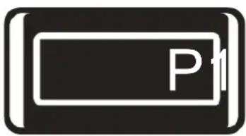 P1