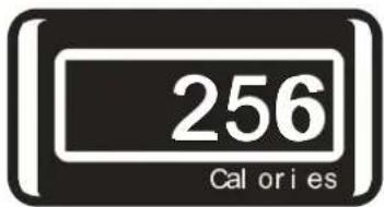 256 Cal or i es