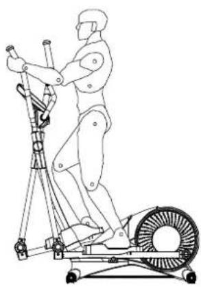 Titan Fitness DX5 - Ergonomiskt korrekt körposition / Ergonomisk korrekt køre-position: - 1