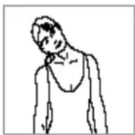 Titan Fitness ST885 - Hoved rul - 6