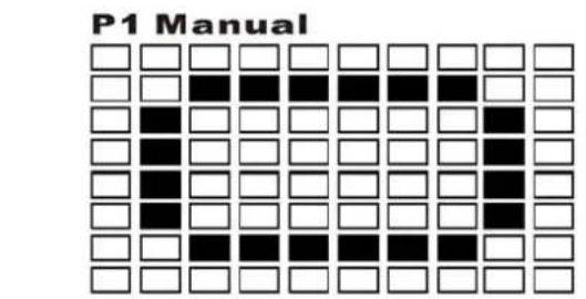 P1 Manual