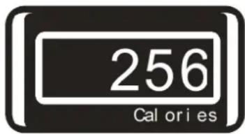 256 Cal or i es