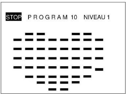 STOP PROGRAM 10 NIVEAU 1