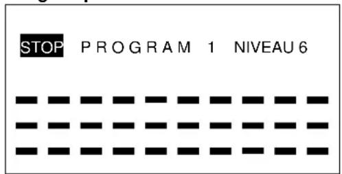 STOP PROGRAM 1 NIVEAU 6