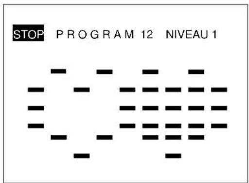 STOP PROGRAM 12 NIVEAU 1
