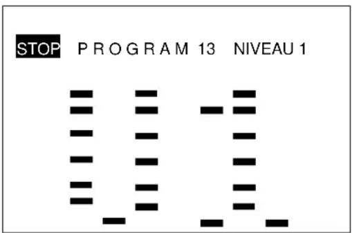 STOP PROGRAM 13 NIVEAU 1