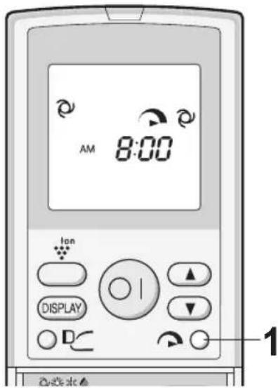 AM 8:00 Ion DISPLAY DC 1