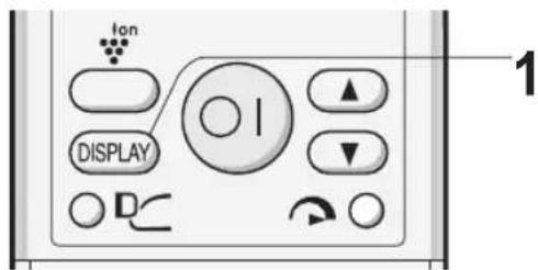 Ion DISPLAY 1
