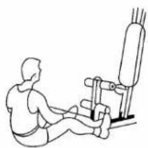 Titan Fitness HG4044A - Træningsbeskrivelse - 1