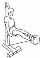 Titan Fitness HG4044A - Træningsbeskrivelse - 6