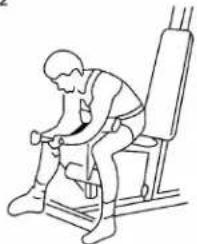 Titan Fitness HG4044A - Træningsbeskrivelse - 2
