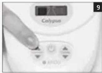 Colypus ANISO