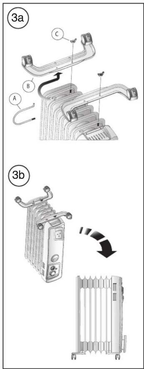 (3a) 3b