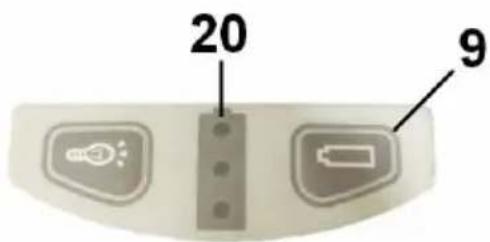 20 9
