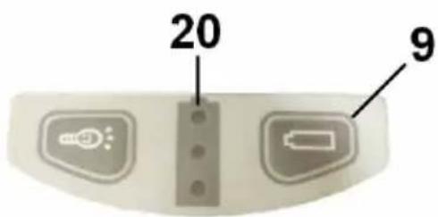 20 9