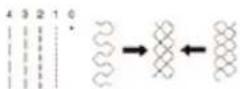 Hugin Rosace - Markeringspunkt - 3
