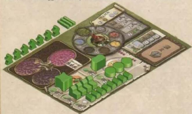 White Goblin Games Terra Mystica - SPELMATERIAAL EN KLEUREN VAN DE VOLKEREN - 2